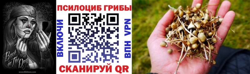 наркошоп  блэк спрут вход  Псилоцибиновые грибы ЛСД  Лермонтов 